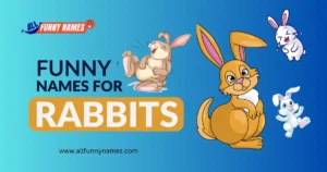 Funny Names For Rabbits