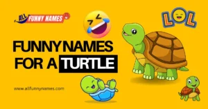 Funny Names for a Turtle