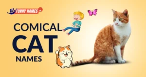comical cat names