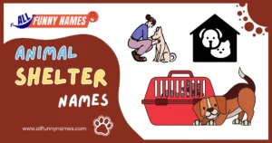 Animal Shelter Names