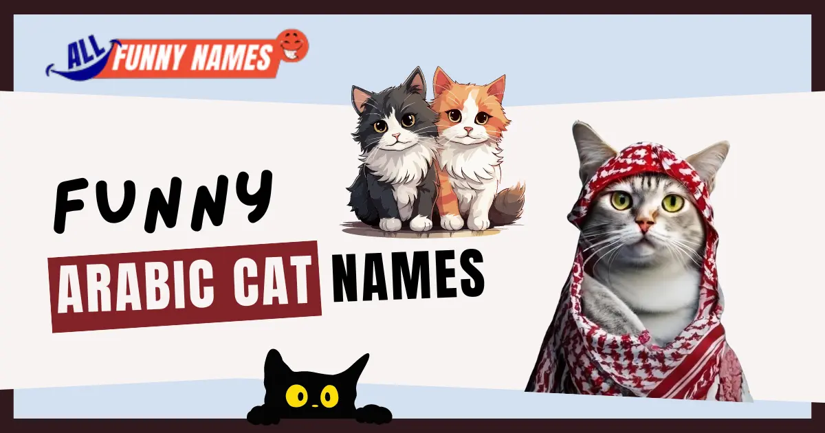 Funny Arabic Cat Names