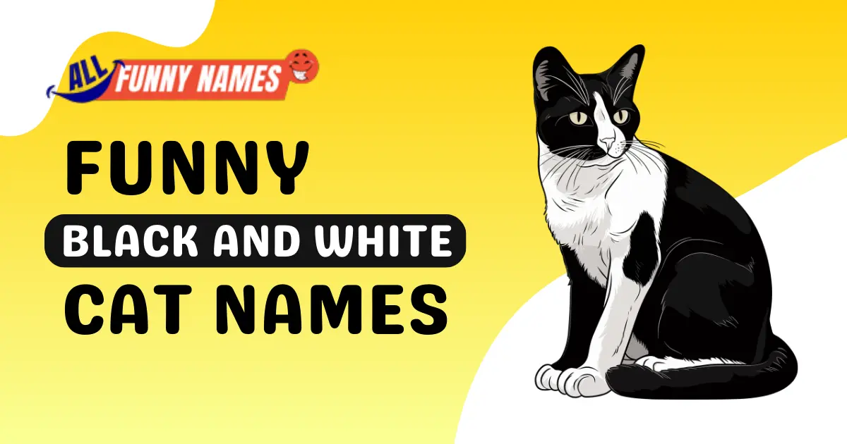 Funny Black and White Cat Names