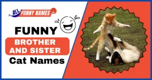 Funny Brother and Sister Cat Names