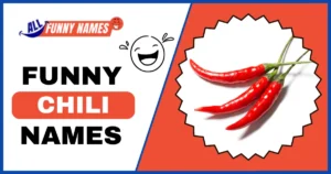 Funny Chili Names