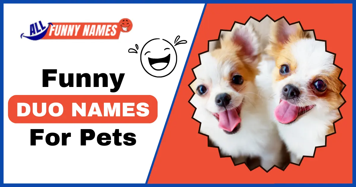 Funny Duo Names for Pets