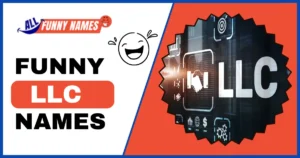 Funny LLC Names