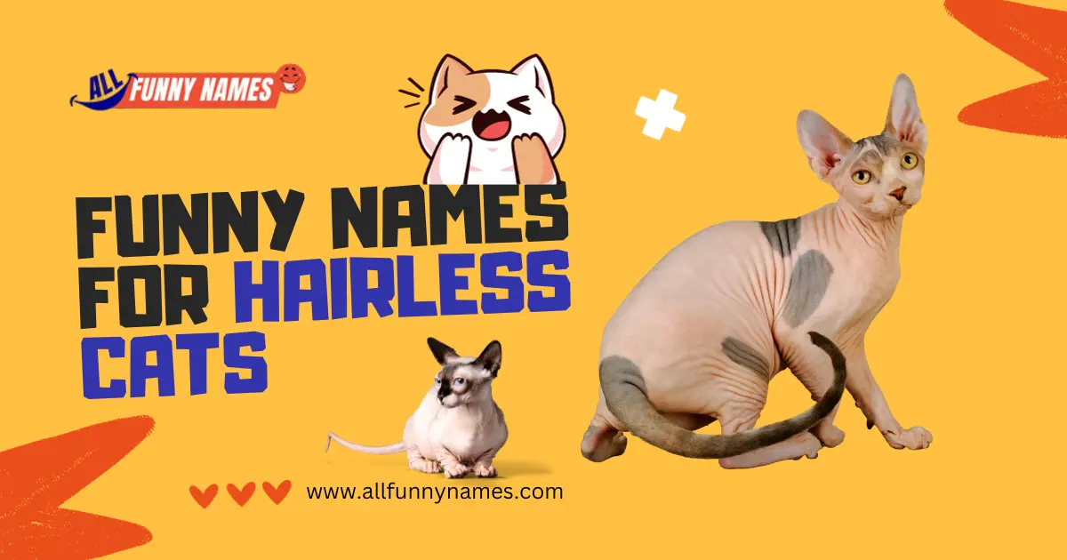 funny names for hairless cats