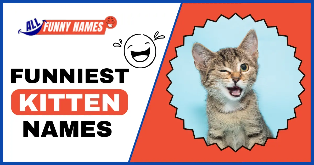Funniest Kitten Names