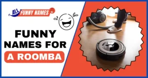 Funny Names For A Roomba