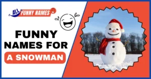 Funny Names For A Snowman