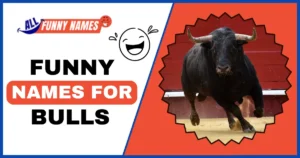 Funny Names For Bulls