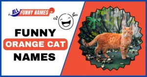 Funny Orange Cat Names