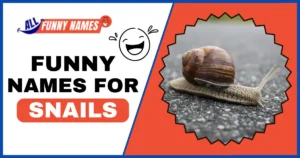 Funny Names For Snails