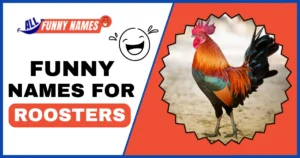 Funny Names for Roosters