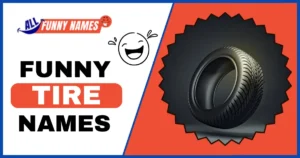 Funny Tire Names