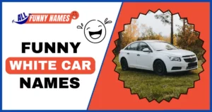 Funny White Car Names