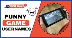 Funny Game Usernames