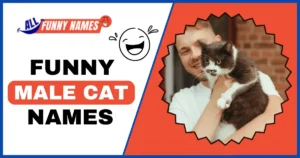 Funny Male Cat Names
