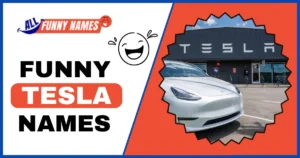 Funny Tesla Names