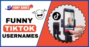 Funny Tik Tok Usernames