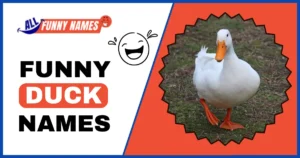 Funny Duck Names