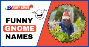 Funny Gnome Names