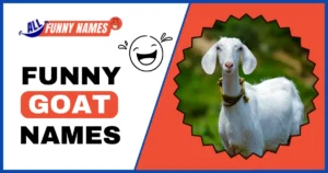 Funny Goat Names