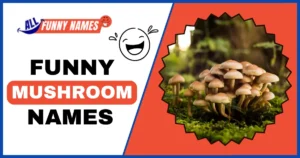 Funny Mushroom Names