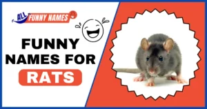 Funny Names For Rats