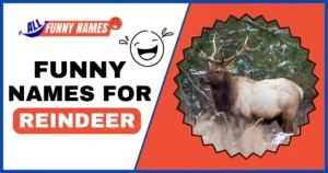 Funny Names For Reindeer