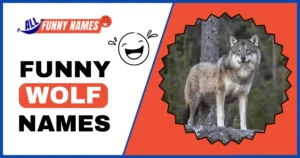 Funny Wolf Names