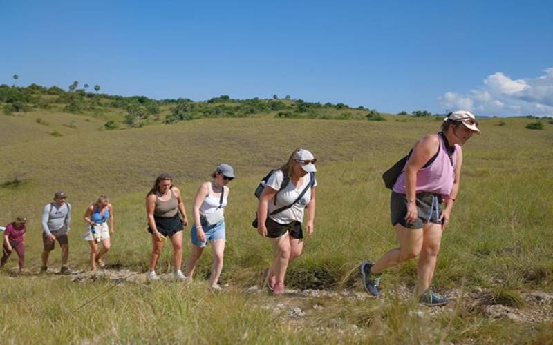 Discover the wonders of Komodo Island in 2025 with our ultimate guide