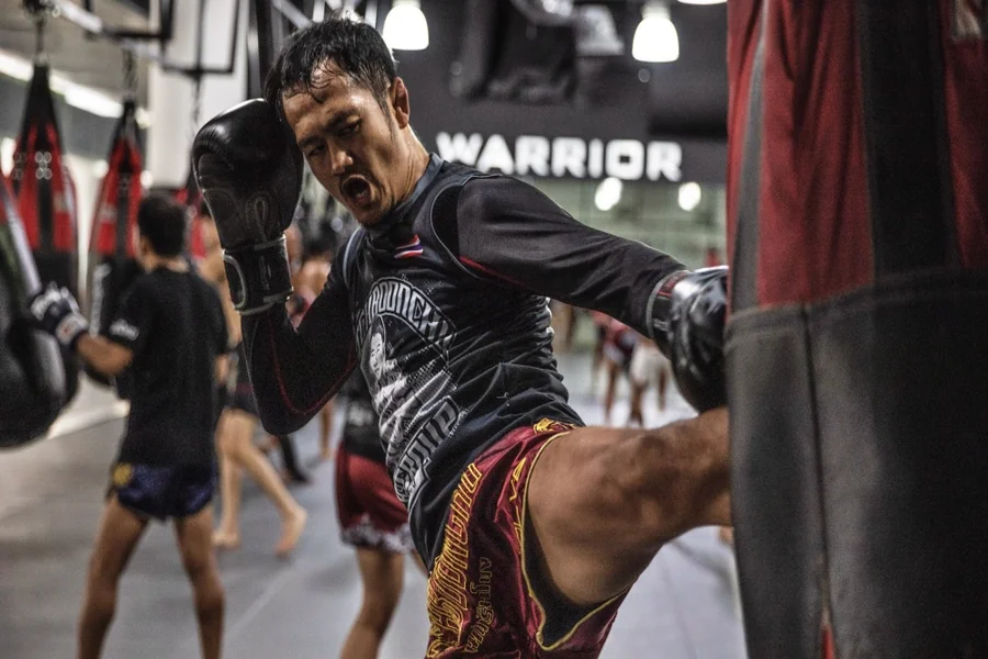 Muay Thai MMA